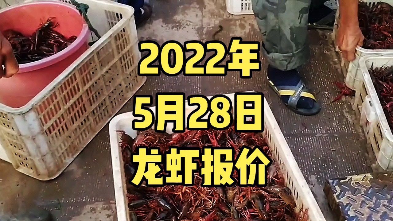 第1572頁