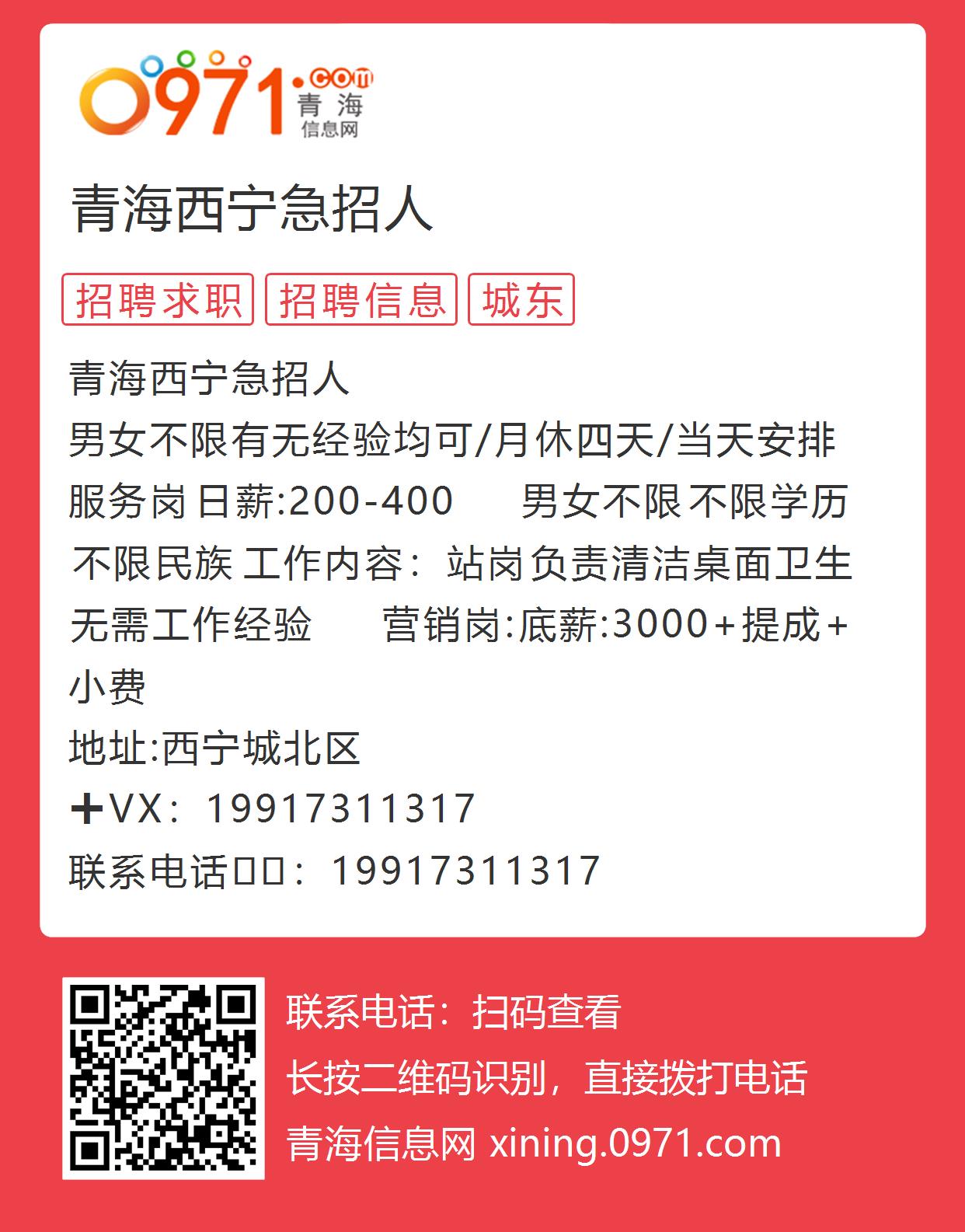 青海西寧最新招聘信息概覽，求職者的必備指南