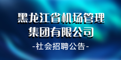 哈爾濱信息網(wǎng)最新招聘動(dòng)態(tài)，影響與展望