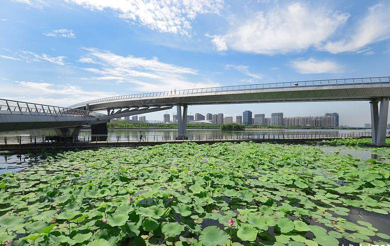 萊蕪與濟南合并最新動態(tài)，城市融合發(fā)展的前景展望