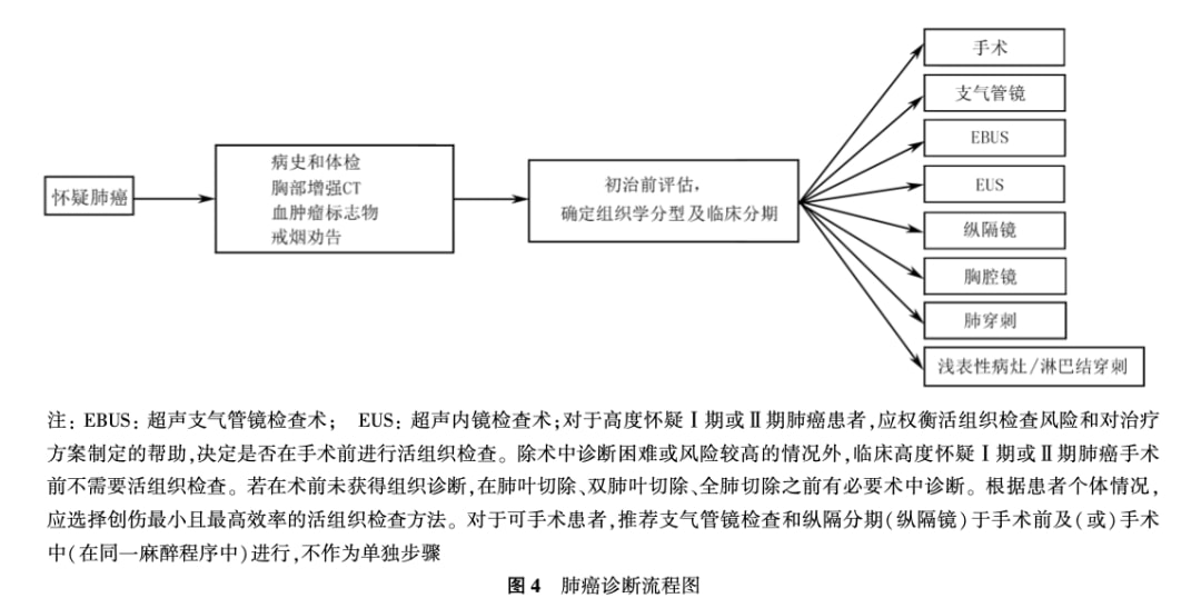 最新醫(yī)學(xué)指南，引領(lǐng)醫(yī)學(xué)進步，照亮人類健康之路