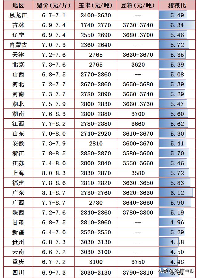 最新豬價新聞，市場走勢分析與預(yù)測