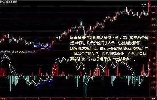 2024澳門今天晚上開什么生肖?。鼘嵱眉记膳c詳細解析