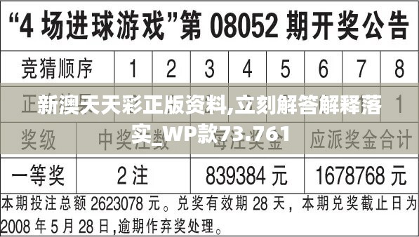 2024年天天彩精準(zhǔn)資料,效率資料解釋落實(shí)_CT64.966