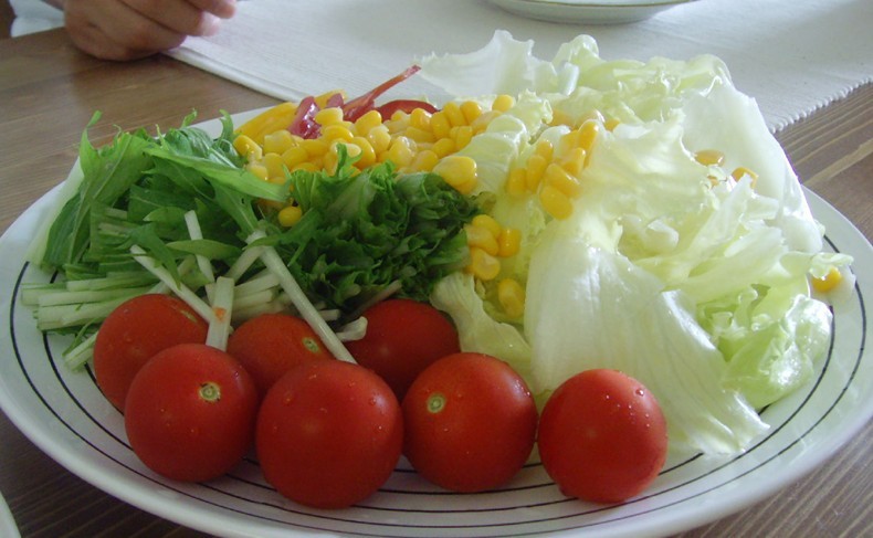 食菜網(wǎng)最新動態(tài)，引領食品產(chǎn)業(yè)創(chuàng)新發(fā)展的前沿平臺