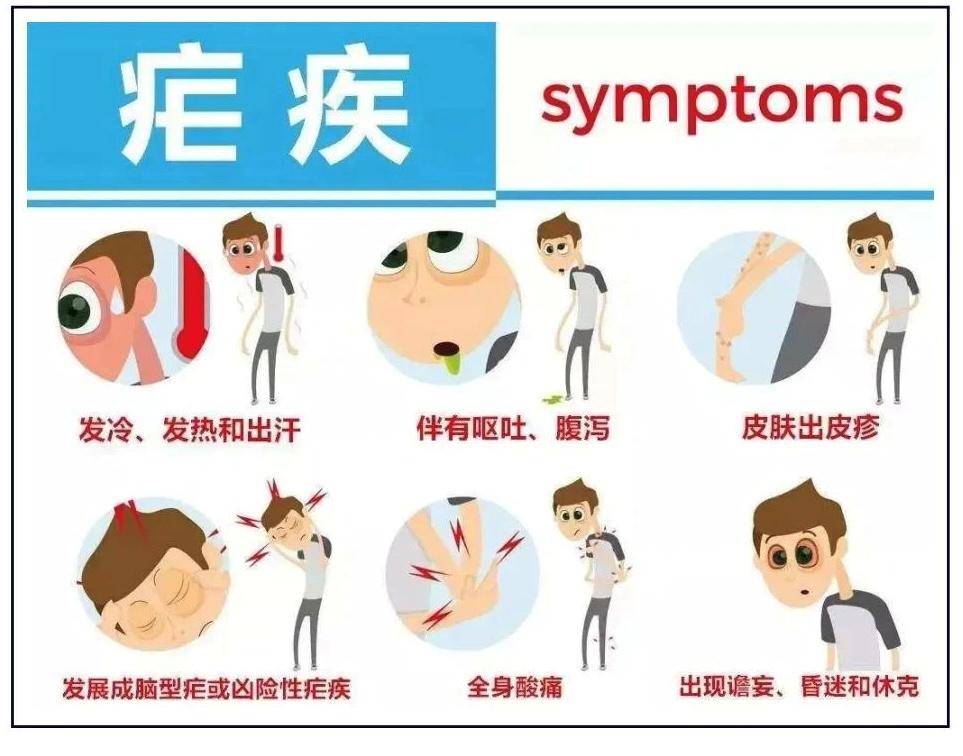 全國(guó)二陽(yáng)最新情況深度解析與應(yīng)對(duì)策略