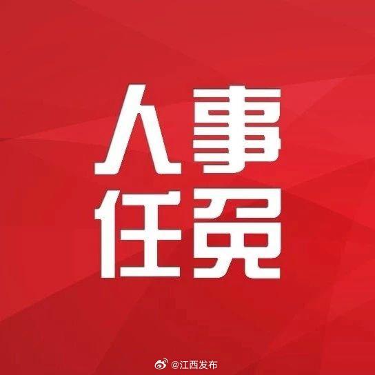 宜春市最新人事任免動態(tài)更新