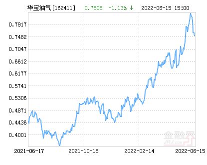 華寶油氣最新凈值深度解讀及前景展望，洞悉油氣市場趨勢與機遇！