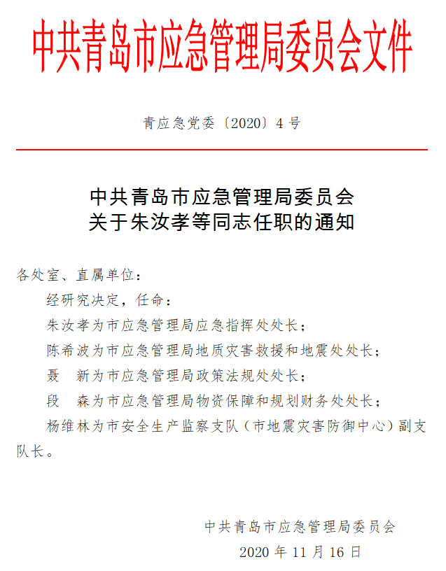 大通區(qū)應(yīng)急管理局人事調(diào)整，構(gòu)建穩(wěn)健的應(yīng)急管理體系新篇章