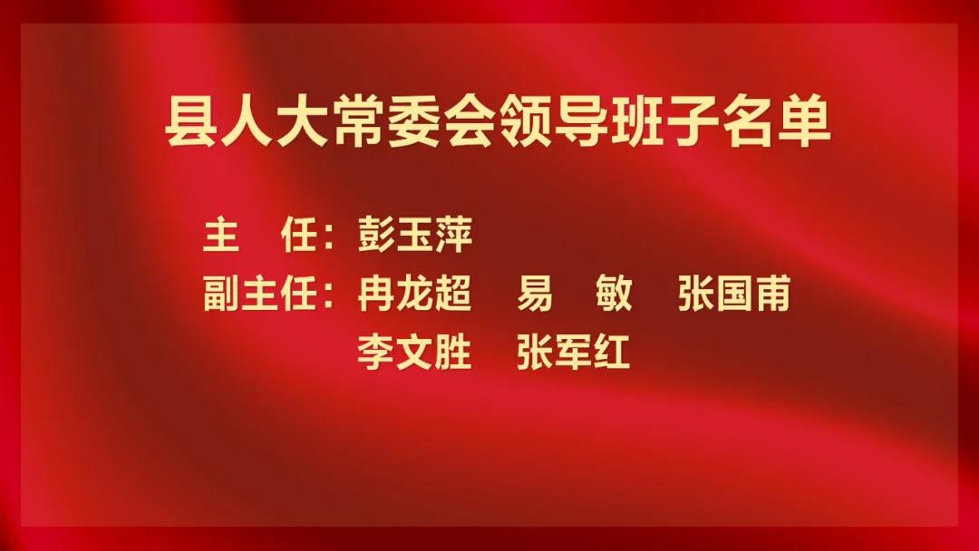 重慶最新常委名單公布及未來展望